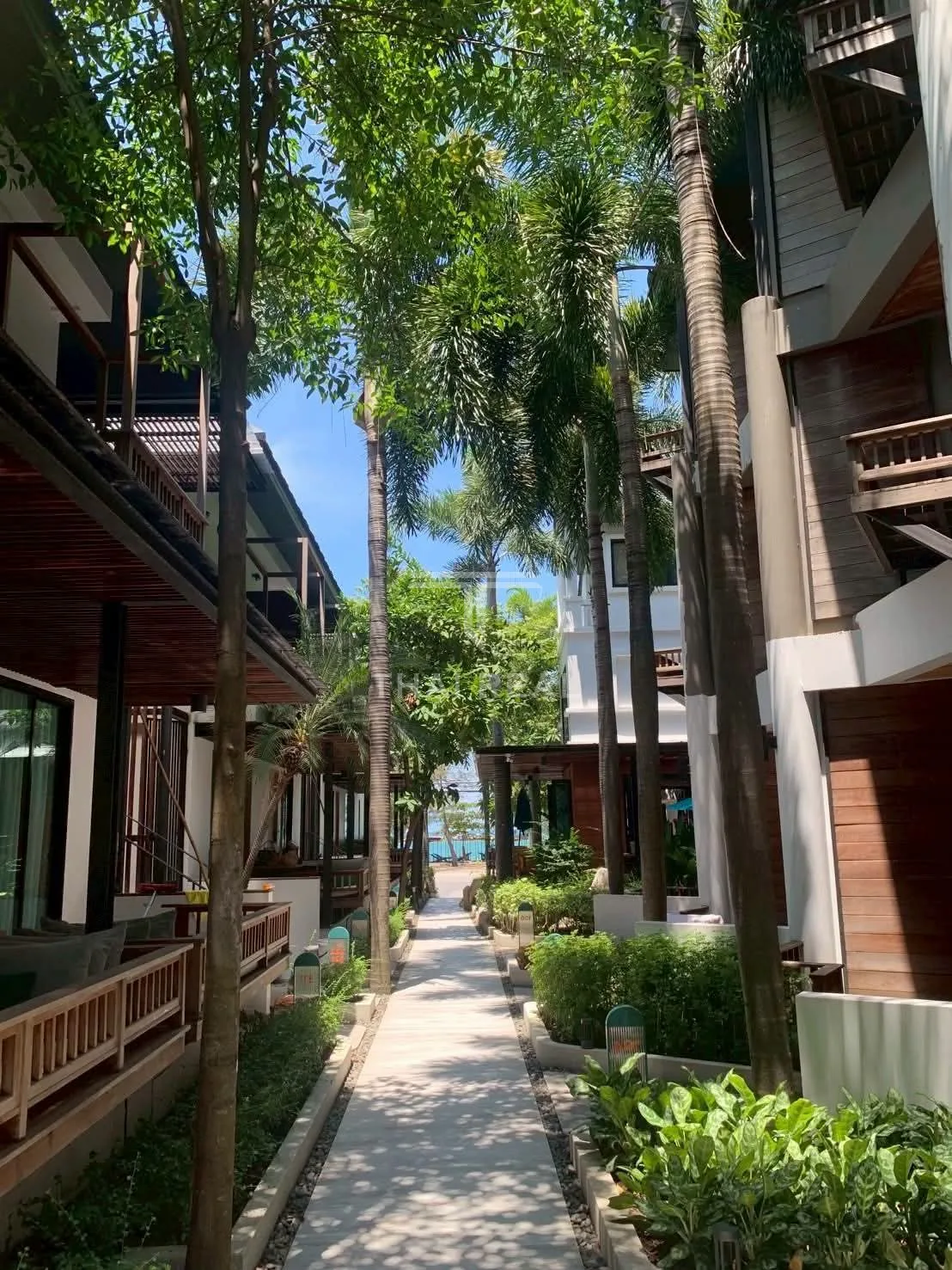 ธุรกิจโรงแรมพร้อมดำเนินกิจการ 36+ ห้องนอน - Banlansuan Resort – photo 15