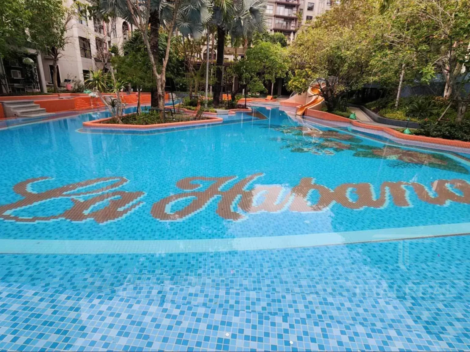 La Habana Beach Condo – photo 13