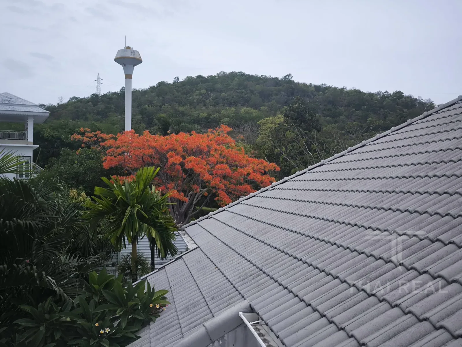 พูลวิลล่าหรู Casa Collina – photo 23
