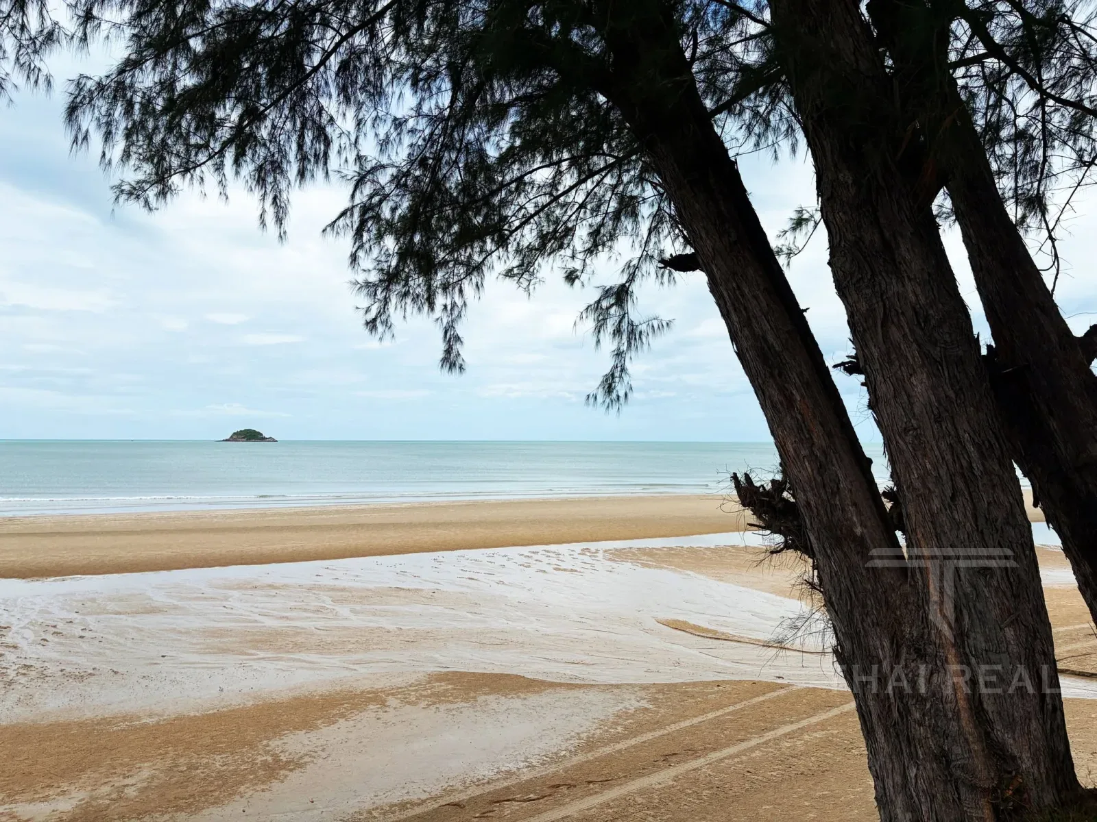 Beachfront 2-Bed Condo — Las Tortugas – photo 21