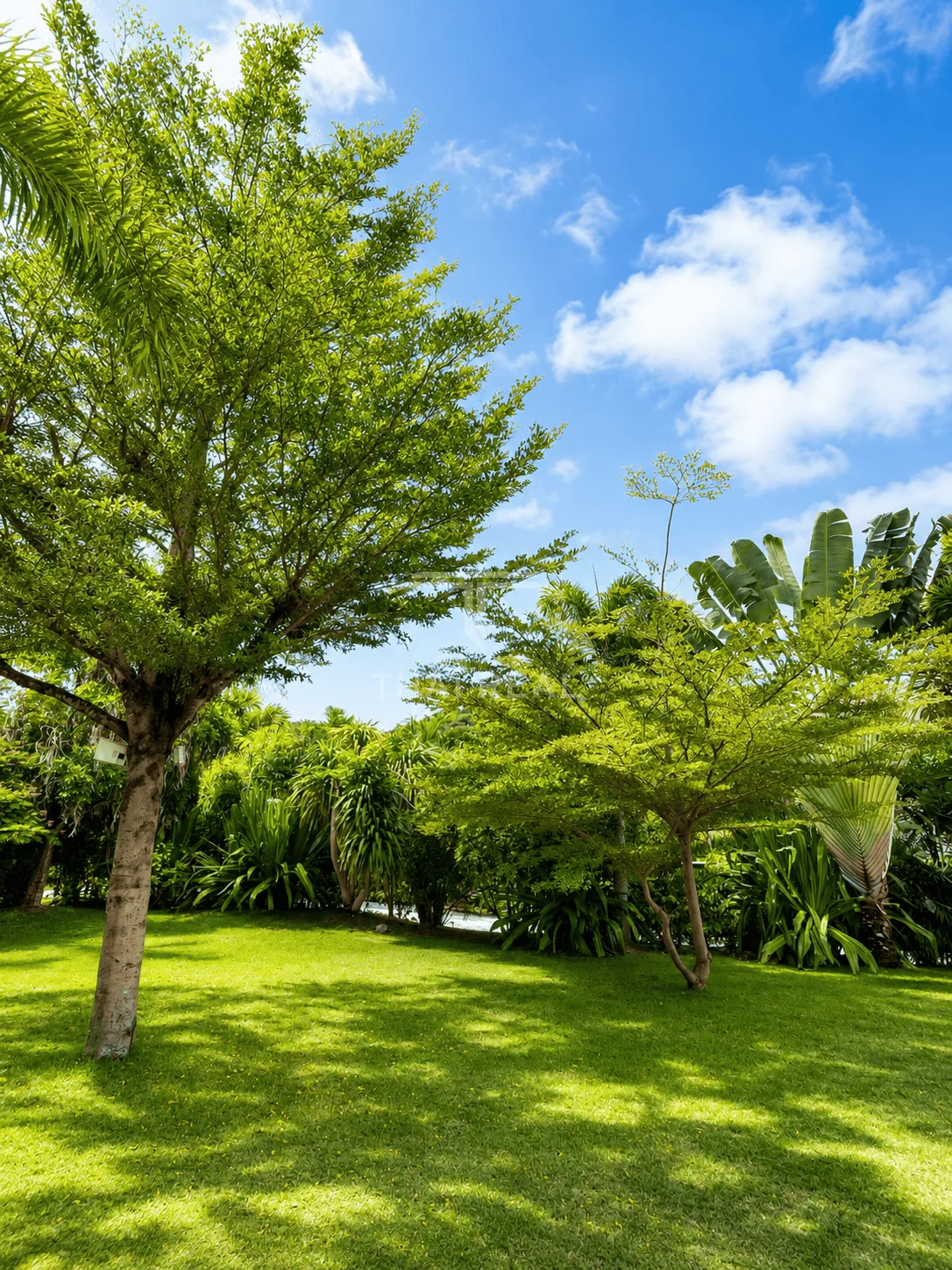 3-Bedroom House with Large Private Garden - Villa Vista – photo 5