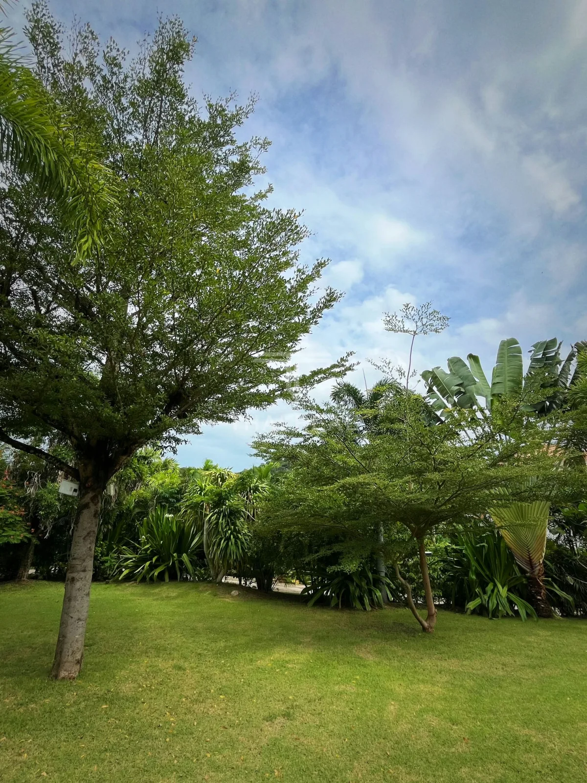 3-Bedroom House with Large Private Garden - Villa Vista – photo 15